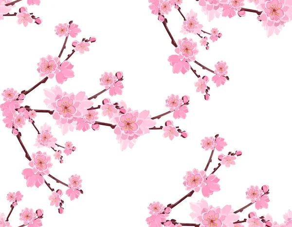 Sakura. Ramo com flores exuberantes doces e botões de cereja. Sem emenda sem uma malha e gradiente. Ilustração —  Vetores de Stock