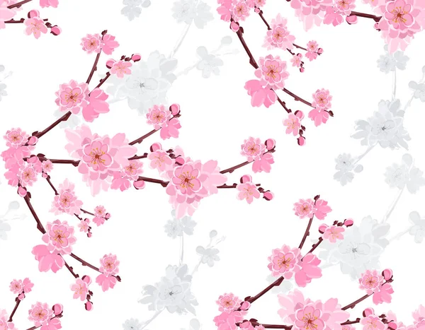 Sakura. Ramo com flores exuberantes doces e botões de cereja. Colorido e cinza. Sem emenda sem malha e gradiente. Ilustração —  Vetores de Stock