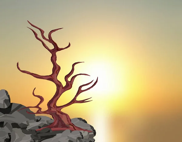 Landschaft am Sonnenuntergang. ein geschwungener Baum ohne Blätter auf einem Felsen zwischen den Steinen. Eiche, Kirsche, Sakura. Illustration — Stockvektor