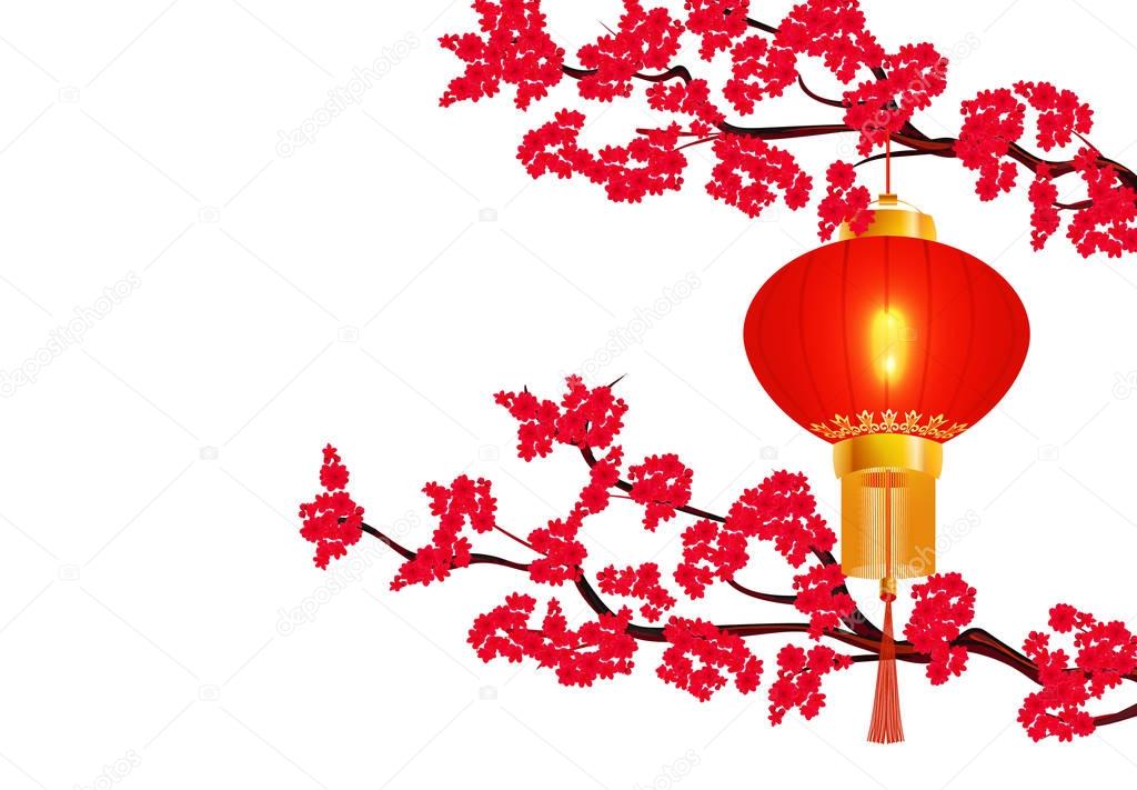 Chinese New Year. Two branches of a blooming red cherry. hanging red Chinese lantern. Round form. illustration