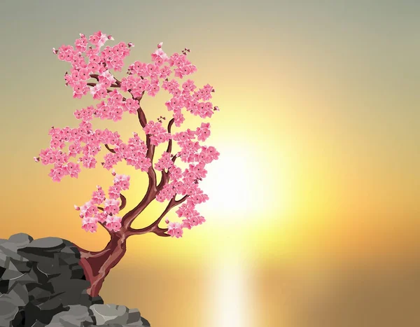 Sakura bloesems. Een boom van roze kers op een steen. Tegen de achtergrond van een prachtige zonsondergang. illustratie — Stockvector