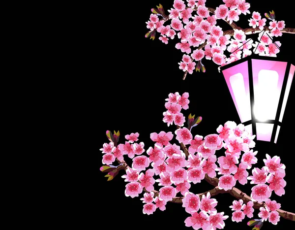 Sakura. Magníficas ramas de un cerezo con flores pequeñas de color púrpura sobre un fondo negro. Una linterna de jardín brillante. ilustrador — Vector de stock