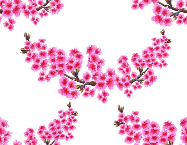 Sakura. Dos ramas con delicadas flores de color púrpura exuberante y cogollos de cerezo. Sin costuras sin malla ni gradiente. ilustración — Archivo Imágenes Vectoriales