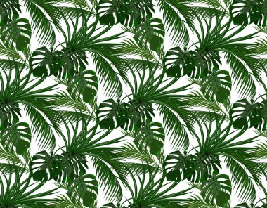 Orman. Yeşil yaprakları tropikal palmiye ağaçları, monstera, agav. Sorunsuz. Beyaz arka plan üzerinde izole. illüstrasyon