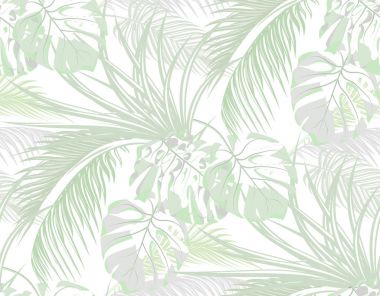 Orman. tropik avuç içi, canavar, agav yaprakların arka plan. Sorunsuz. Beyaz izole. illüstrasyon