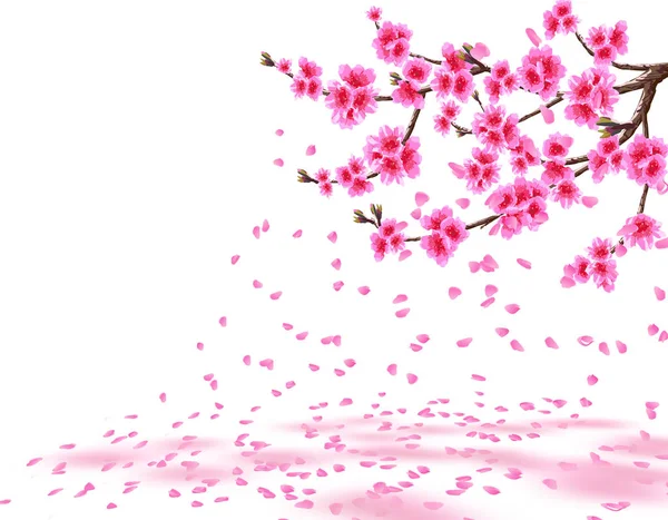 ซากุระ สาขาเชอร์รี่เขียวชอุ่มที่มีดอกไม้สีม่วงสูญเสียกลีบ ถูกแยกจากพื้นหลังสีขาว ภาพประกอบ — ภาพเวกเตอร์สต็อก