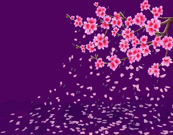 Sakura. Una exuberante rama de cerezo con flores pierde pétalos bajo la lluvia. Gotas de agua. Fondo ultravioleta aislado. ilustración — Vector de stock