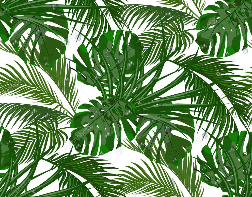Jungle. Lush green. leaves of tropical palm trees, monstera, agaves. Seamless. Isolated on white background. illustration