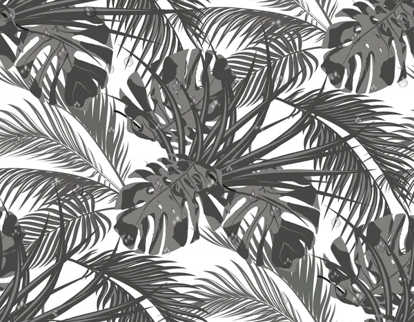 Jungla. Hojas blancas y negras de palmeras tropicales, monstruos, agaves. Sin fisuras. Aislado sobre fondo blanco. ilustración — Vector de stock