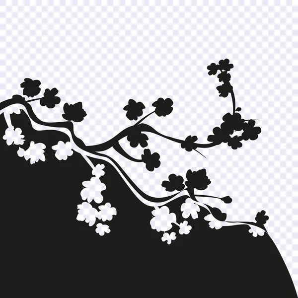 Sakura zwart-wit tekening gestileerd op een transparante achtergrond. Kersentakken met bloemen. illustratie — Stockvector