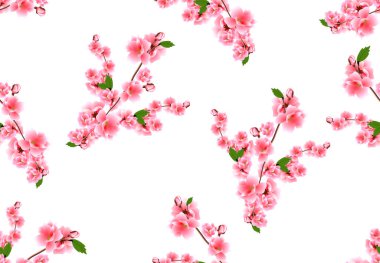 Sakura kusursuz. Tomurcuklu pembe kiraz çiçekleri. Sanayi Tasarımı. resimleme