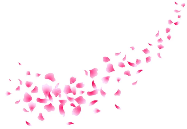 Sakura fliegt Blütenblätter. Blumen gestalten. Blütenblätter. Vereinzelt auf weißem Hintergrund. Blütenblätter Rosen Blumen. Illustration — Stockvektor