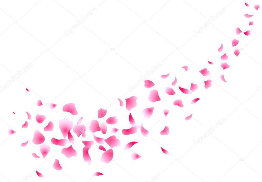 Sakura flying petals. Flowers design. Flowers petals. Isolated on white background. Petals Roses Flowers. illustration