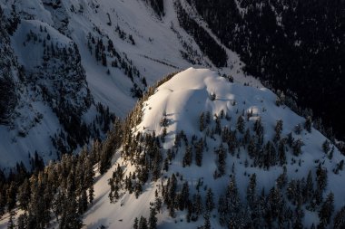 Tepe Grouse Mountain çevresinde
