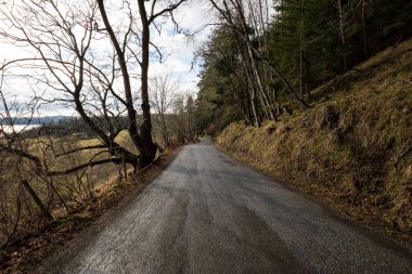 Ağaçları ile doğal yol 