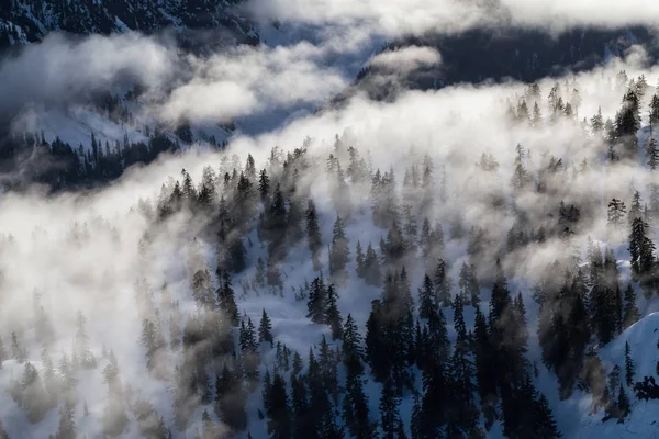 Horské pásmo severně od Vancouveru — Stock fotografie