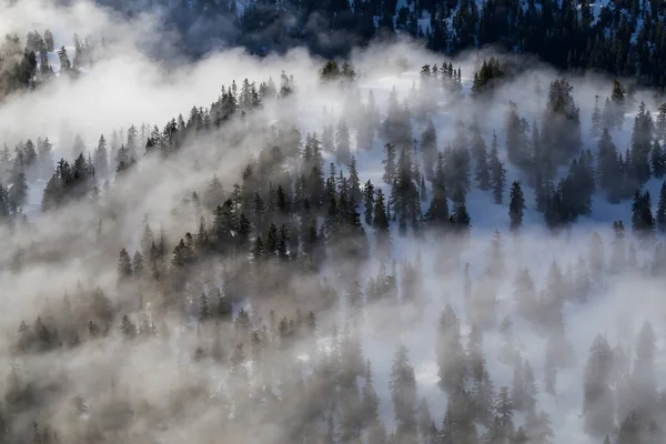 Chaîne de montagnes au nord de Vancouver — Photo