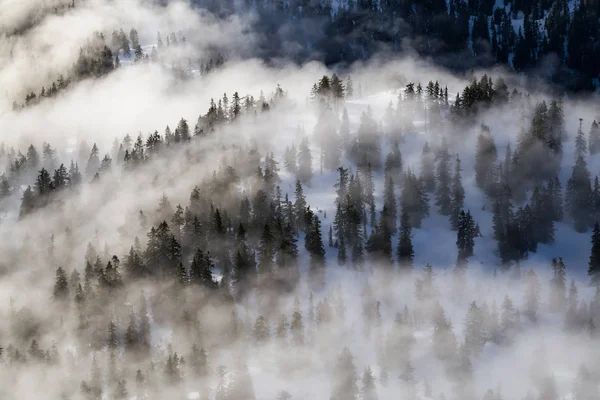 Chaîne de montagnes au nord de Vancouver — Photo