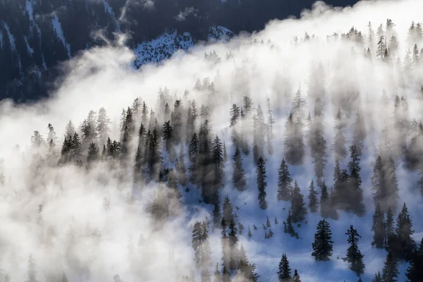 Dağ Kuzey Vancouver