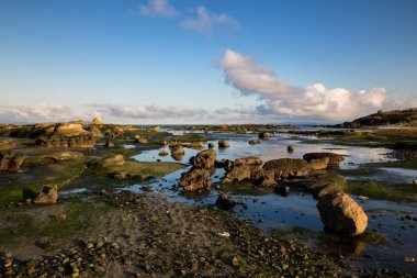 Güneşli gün boyunca kayalık sahil