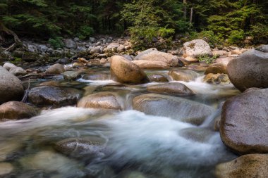 Güzel bir dağ nehir yeşil orman manzarası