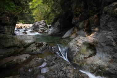 Ste taşlar arasında yaz ormanda çalıştıran akışı 