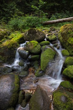 Yumuşak Kayaların etrafında akan nehir. Shannon düşüyor, Squamish, British Columbia, Kanada alınan.
