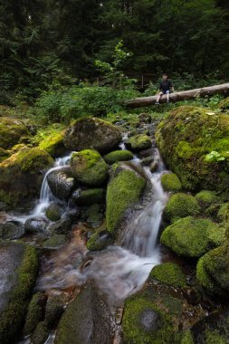 Yumuşak Kayaların etrafında akan nehir. Shannon düşüyor, Squamish, British Columbia, Kanada alınan.