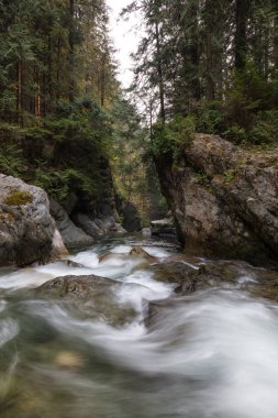 Yumuşak Kayaların etrafında akan nehir. Shannon düşüyor, Squamish, British Columbia, Kanada alınan.
