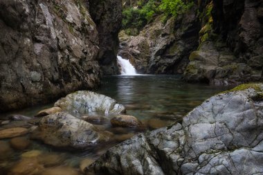 Yumuşak Kayaların etrafında akan nehir. Shannon düşüyor, Squamish, British Columbia, Kanada alınan.