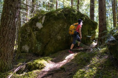Kadın uzun yürüyüşe çıkan kimse Macdonald Peak yakınındaki Chilliwack, East of büyük Vancouver, British Columbia, Kanada doğru yürüyüş. Resmi bir güneşli yaz günü sırasında alınan.