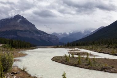 Güzel Kanada kayalık dağ manzarası Jasper National Park, Alberta, Kanada.