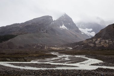 Columbia Icefield yaz aylarında. Jasper National Park, Alberta, Kanada içinde alınan.