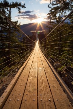 Asma köprü Squamish, Vancouver, British Columbia, Kanada kuzeyindeki bir dağın zirvesinde.