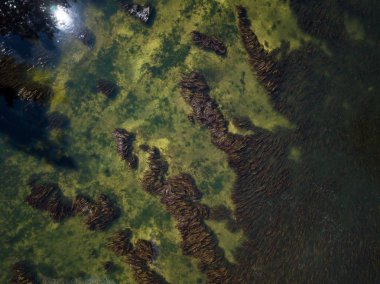 Havadan görünümü yukarıdan aşağı üzerinde yeşil nehir, Gorge sular. Victoria, Vancouver Adası, British Columbia, Kanada alınan.