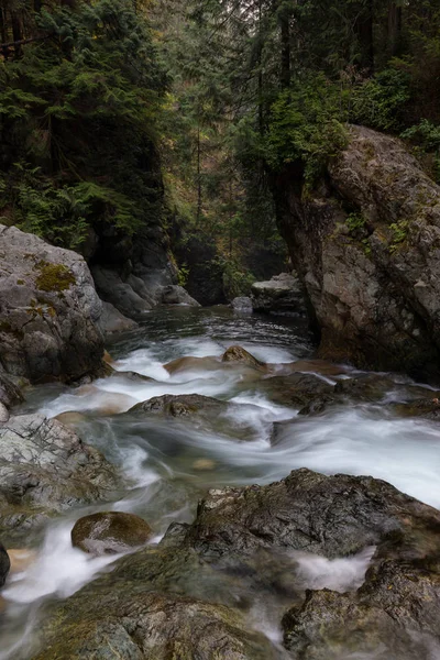 Mooi Uitzicht Rivier Van Berg Het Groene Woud — Stockfoto