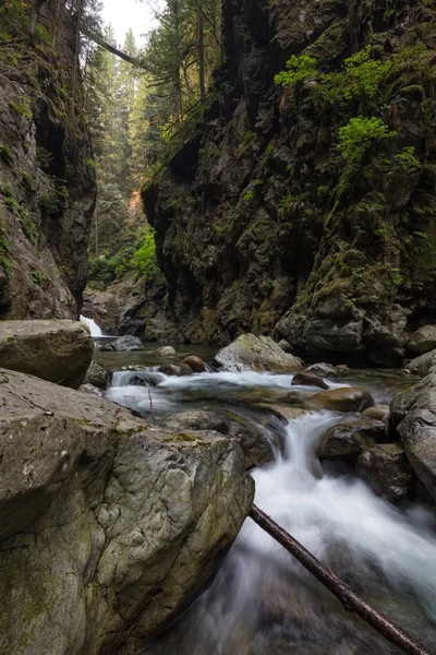 Fiume Che Scorre Intorno Alle Rocce Lisce Preso Shannon Falls — Foto Stock