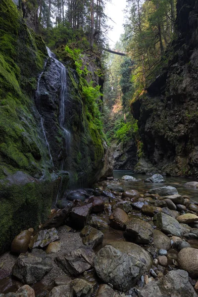 Rivière Coulant Autour Des Rochers Lisses Prise Shannon Falls Squamish — Photo