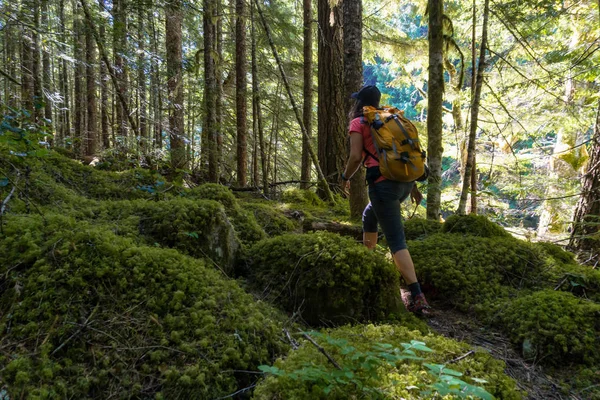 Mujer Excursionista Caminando Hacia Pico Macdonald Cerca Chilliwack Este Del — Foto de Stock