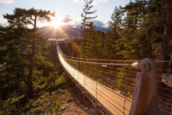 Κρεμαστή Γέφυρα Στην Κορυφή Ενός Βουνού Στο Squamish Βόρεια Του — Φωτογραφία Αρχείου