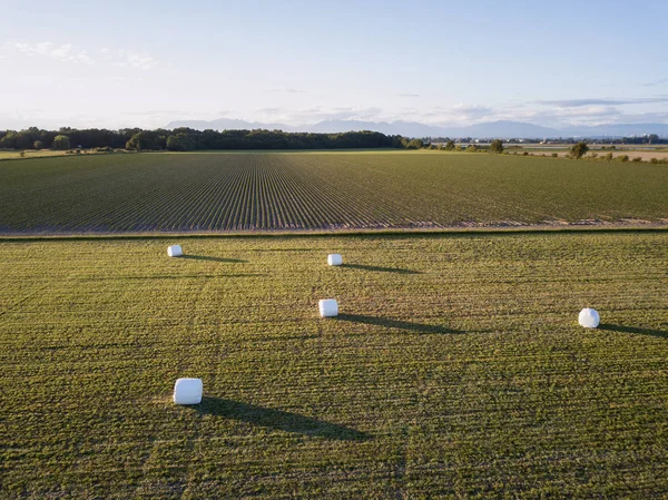 Vista Aérea Dos Campos Fazenda Com Fardos Feno Durante Pôr — Fotografia de Stock