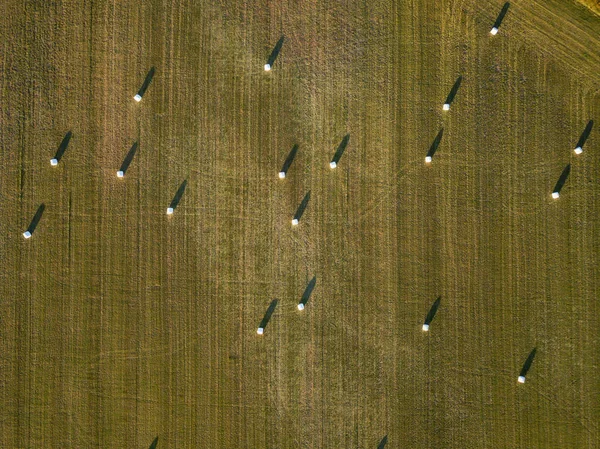 Aerial View Farm Fields Hay Bales Summer Sunset Taken Tsawwassen — Stock Photo, Image