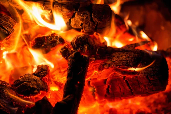 Burning Camp Fire Wood Close View — Stock Photo, Image