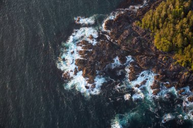 Batı Pasifik kıyısında kayalık sahil 