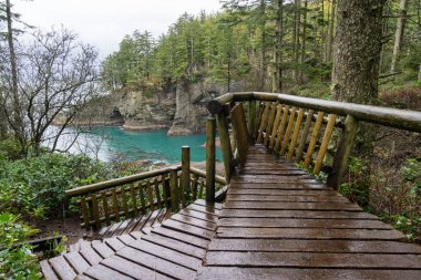 Pasifik Okyanusu kıyısında doğal bakış açısı. Resim Cape dalkavukluk, Neah Bay, Washington, ABD.