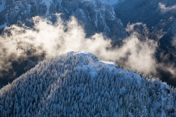Bir Bulutlu Kış Günü Sırasında Vancouver British Columbia Kanada Kuzeyinde — Stok fotoğraf