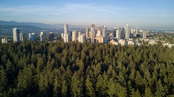 Vista Aérea Metrotown City Desde Central Park Burnaby Gran Vancouver — Foto de Stock