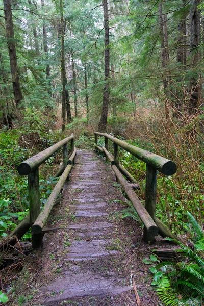 Holzweg Inmitten Des Schönen Waldes Foto Aufgenommen Cape Schmeicheln Neah — Stockfoto