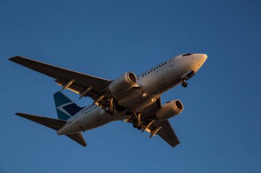 Vancouver Uluslararası Havaalanı, British Columbia, Kanada - 11 Eylül 2016 - Westjet Boeing 737 Jet uçak iniş için son yaklaşıyor.