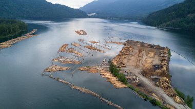 Harrison Mills, British Columbia, Kanada endüstriyel bir değirmende üzerinde havadan görünümü.
